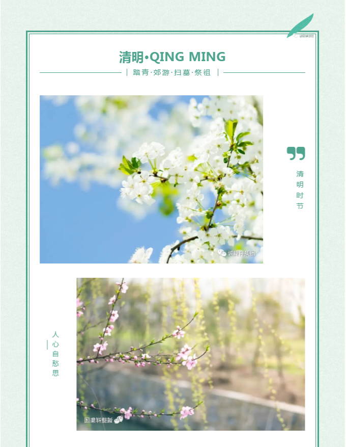 微信圖片_202204011715324.png